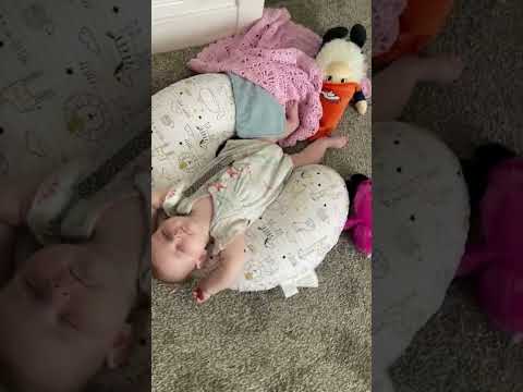 Chubby Babies Hilarious Moments Compilation part 2 #shorts #cutebabyvideo #cutebaby