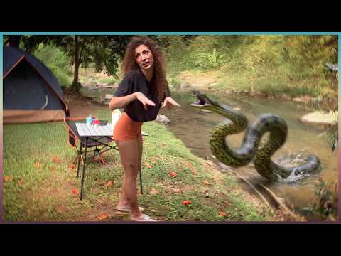Terrifying Snake Encounters Caught on Camera