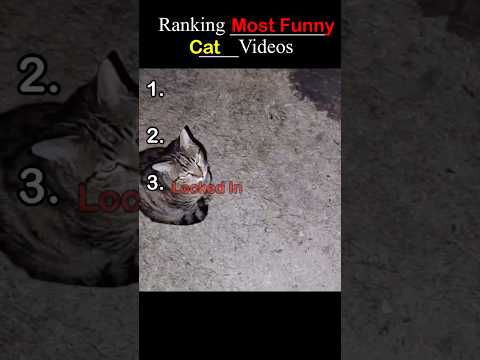 Locked in or EVIL Cat… FUNNY CAT VIDEOS #cat #catshorts #funny #jokes
