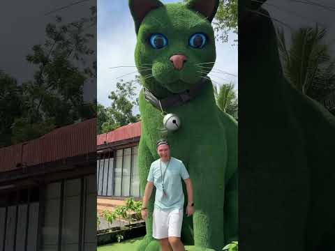 This cat is really alive!#funny #cats#catvideos #tiktok #social #usafunny #catlovers #funpage