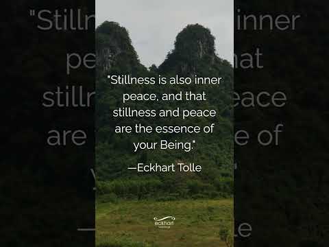 "Stillness is also inner peace, and that stillness and peace are the essence of your Being." —Eckhar