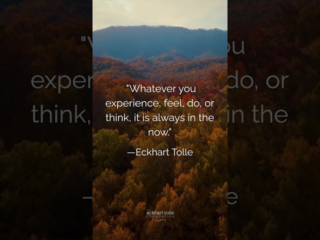 "Whatever you experience, feel, do, or think, it is always in the now." —Eckhart Tolle