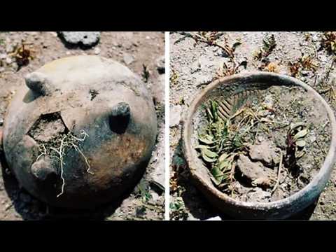25 Most Incredible Archaeological Finds
