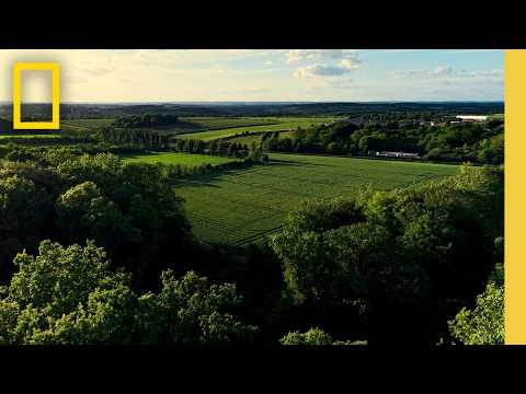 What is Regenerative Agriculture? | National Geographic