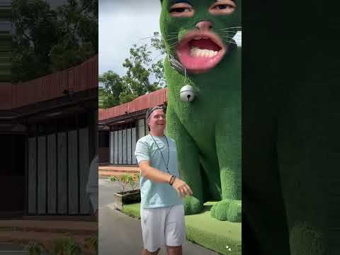This cat is really alive! #funny  #cats #catvideos #social #usafunny #catlovers #funpage