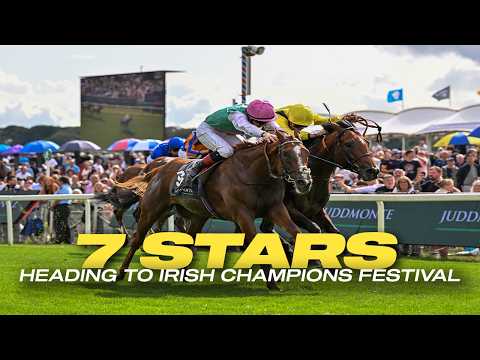 Seven Stars Heading to Irish Champions Festival 2026! Ft. ITEM and FALLEN ANGEL