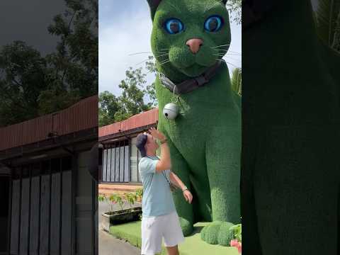 This cat is really alive????#funny #cats #catvideos#tiktok #social #usafunny #catlovers #funpage