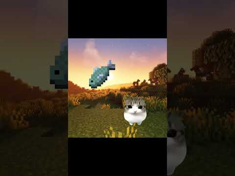 dam dam di di di di cat. #cat #funny #catvideos