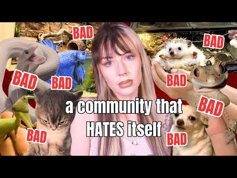The Animal Community Hates Itself