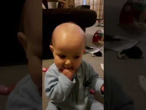 Best of Cute Baby Chubby - Funny Baby Videos #baby #cutebaby #shorts