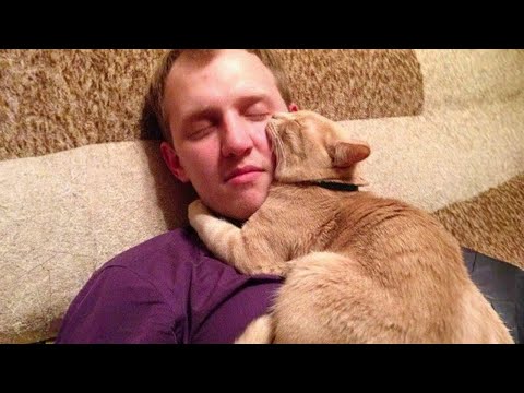 When we share every milestone together ❤️ Funny Cat Videos 2024