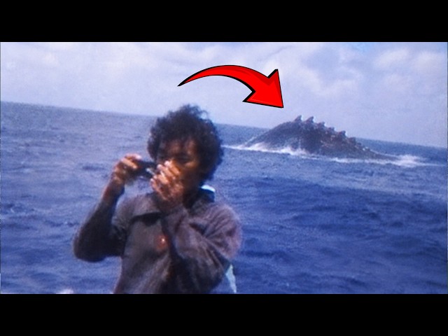 Strange Creatures Are Appearing In WATER All Over the World RIGHT NOW!