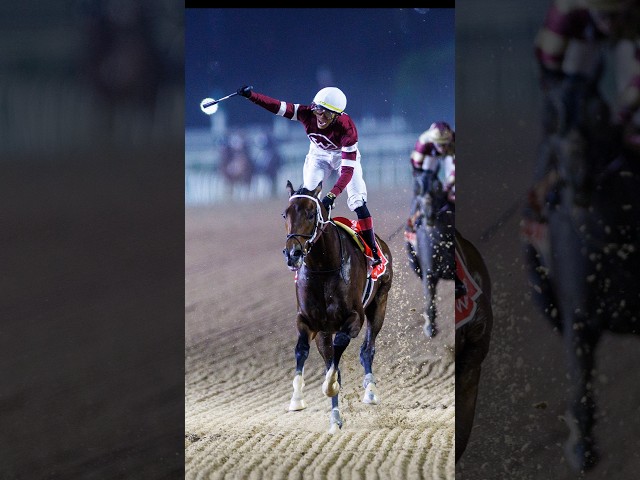 Asmussen: MAGNITUDE can be Horse of the Year ????