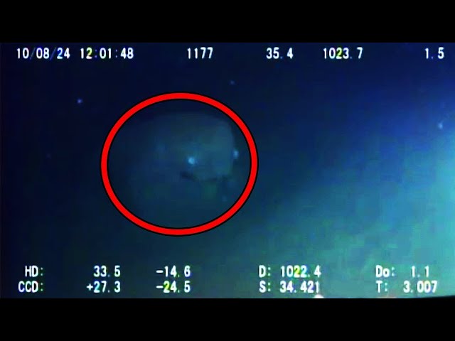 10 Mysterious Underwater Creatures Caught on Tape
