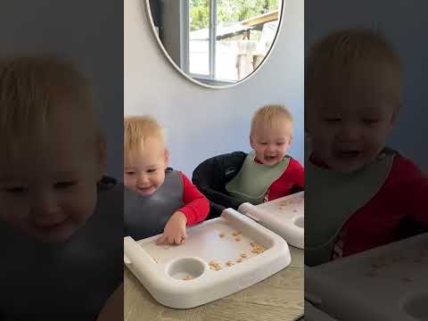 Cute Twin Babies Reactions Make Us Laugh Out Loud #shorts #cutebaby #funnybabyvideos