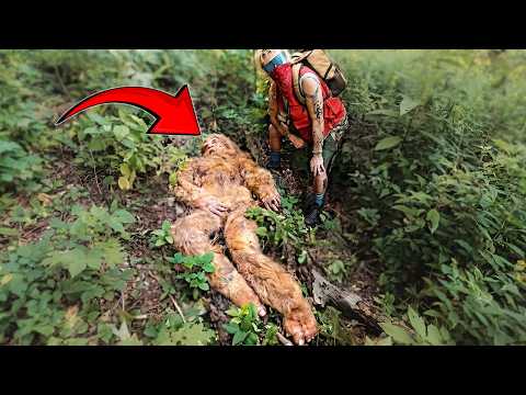 Newest Image Of Bigfoot Body Went Viral On The Internet, And Its Crazier Than We've Thought!