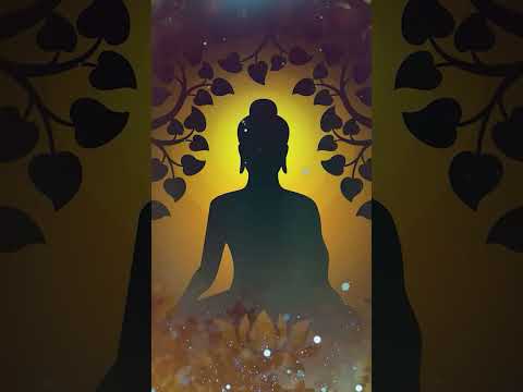 Positive Energy Vibration