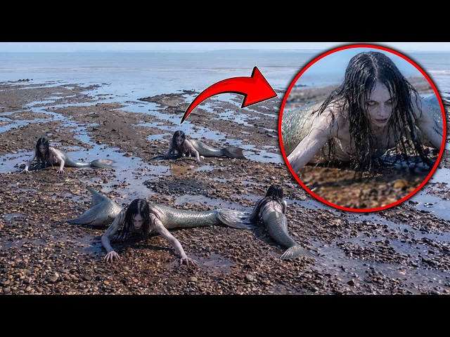The Ocean Vanished In Argentina, And Strange Creatures Began To Emerge — Is This A Warning?