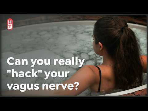 The Vagus Nerve is Important! But It's Not the Key to Wellness