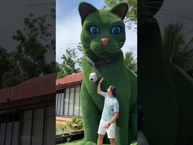 This cat is really alive!????????#funny #cats#catvideos#tiktok #social#usafunny#catlovers#funpage