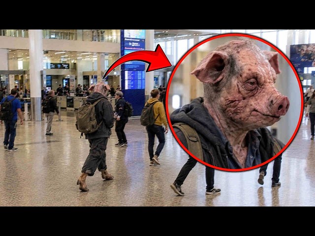 Something Strange Happened At The New York Airport And No One Has An Explanation