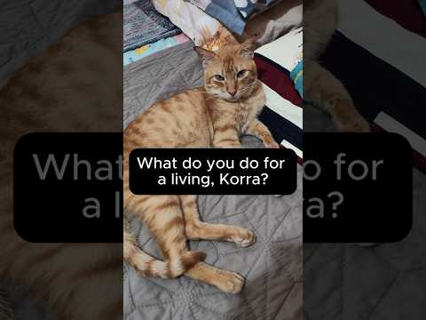 CEO of nothing #cat #funnycat #catvideos #catvideo #catmemes #catofyoutube #funnyshorts #funnyshort