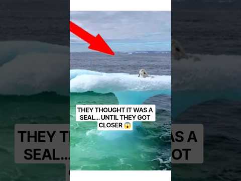 What Was Stranded on This Iceberg?