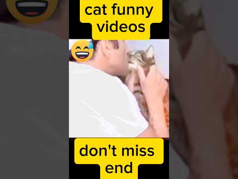 funny cat videos #7 || try not no laugh #shortsfunny #viralvideo #catvideos