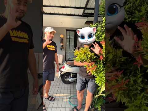 This cat is really alive! ???? #funny #cats #catvideos #tiktok #social #usafunny #catlovers #funpage