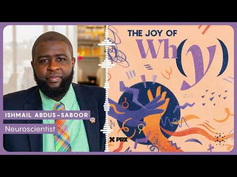 How Does Touch Lead To Pain Or Pleasure? | PODCAST: The Joy of Why