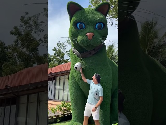 This cat is really alive! ???? #funny #cats #catvideos #tiktok  #social #usashorts #funnyshorts