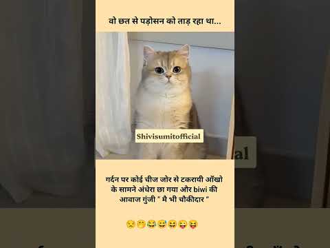 #वो छत से पड़ोसन को???????????????? #funny #catvideos #shortvideos
