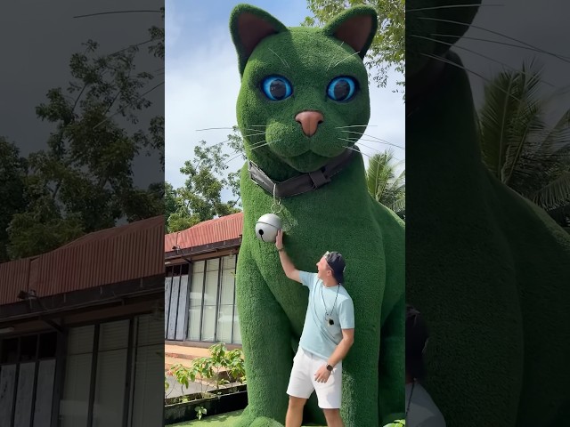 This cat is really alive! ???? #funny #cats #catvideos #tiktok #social #usafunny #catlovers #funpage