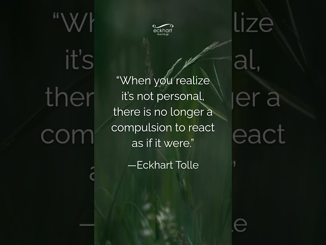 “When you realize it’s not personal, there is no longer a compulsion to react as if it were.”