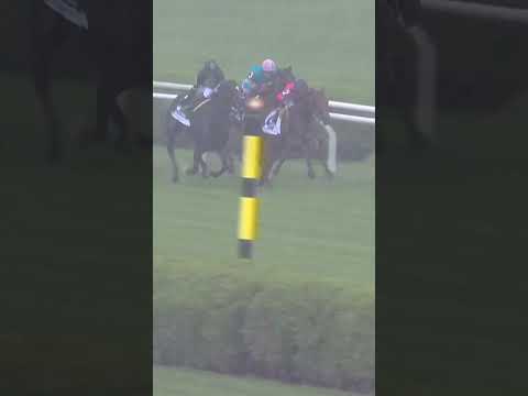 DETERMINISTIC's Second G1 Fourstardave!