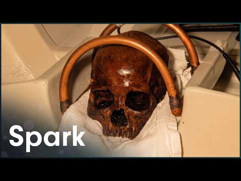 This Is The Best Preserved Ancient Skull We've Ever Found