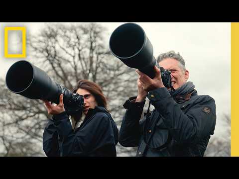 Wildlife Photography and Life Lessons on the Open Road | National Geographic