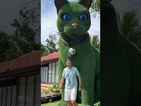 This cat is really alive! ???? #funny #cats #catvideos #tiktok #social #usafunny #catlovers #funpage