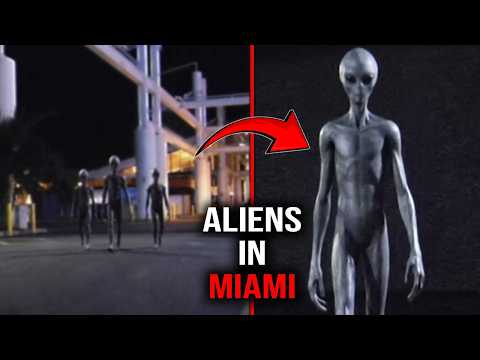 The Most Disturbing Videos You're Not Supposed to See