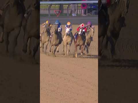 SOVEREIGNTY is back! He wins the G1 Whitney at Saratoga!