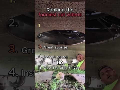 Funniest cat videos ????????