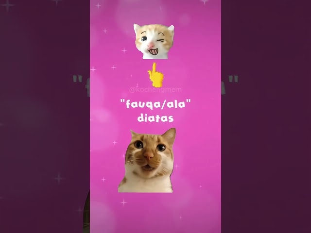 Let's memorize together with me #catmeme #funnycatvideos