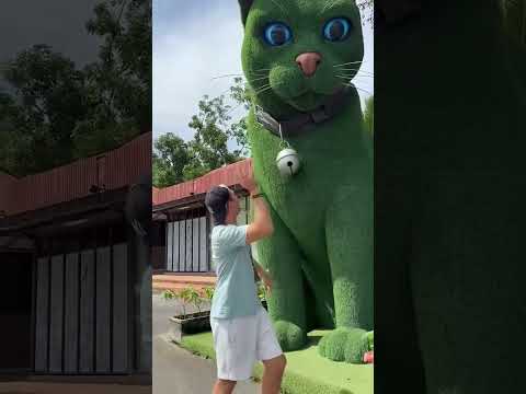 This cat is really alive!#funny#cats#catvideos#tiktok#social#usafunny#catlovers#funpage????????