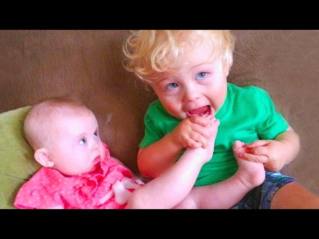 Funny Baby Siblings Playing and Laughing Together | Funny Baby Videos | Funny Babies and Pets