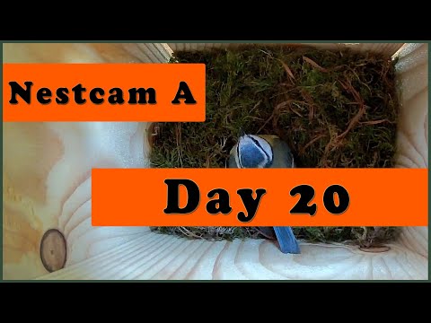 Day 20: Finally a sunny day!