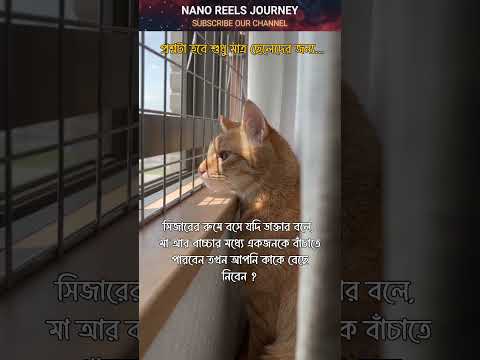 প্রশ্নটা ছেলেদের জন্য????#caption #banglastatus #catfunny #cute #catvideos #funny #funnycatvideos