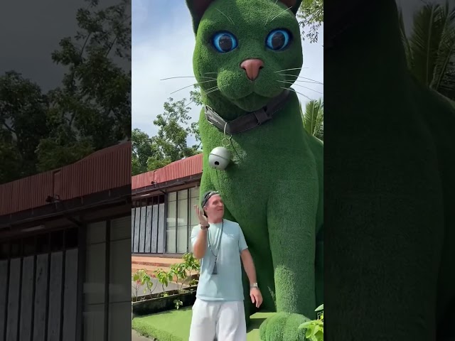 This cat is really alive! ???? #funny #cats #catvideos #tiktok #social #usafunny #catlovers #funpage