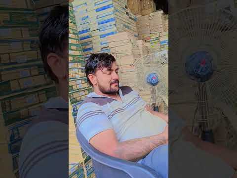 #simmba #comedy #cat #funny #catvideos you