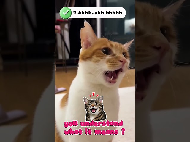 10 Cats Making the Funniest Sounds Ever ???????? #shorts #catvideos