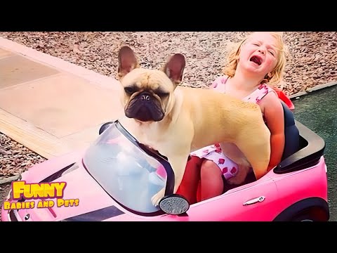 Best Videos of Silly Babies From A to Z ★ Funny Baby Videos